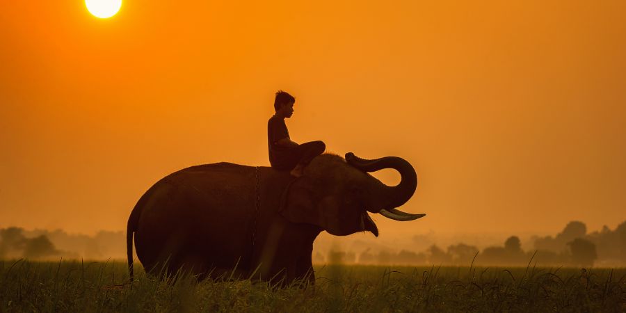 La mejor época para viajar a Camboya