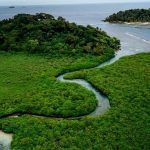 La mejor época para viajar a Madagascar: Temporada ideal y consejos