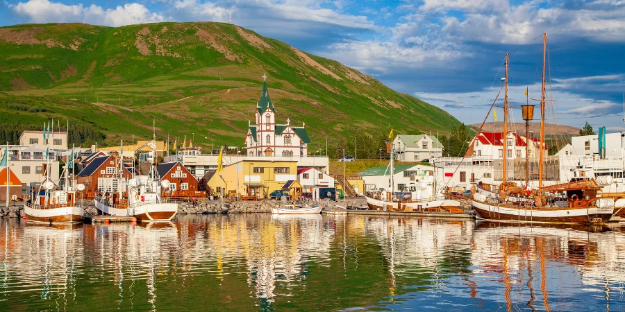 Islandia en Enero