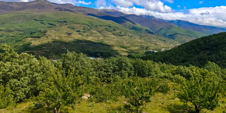Mejor época para ir al Valle del Jerte