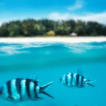 Descubre la mejor época para viajar a Zanzíbar