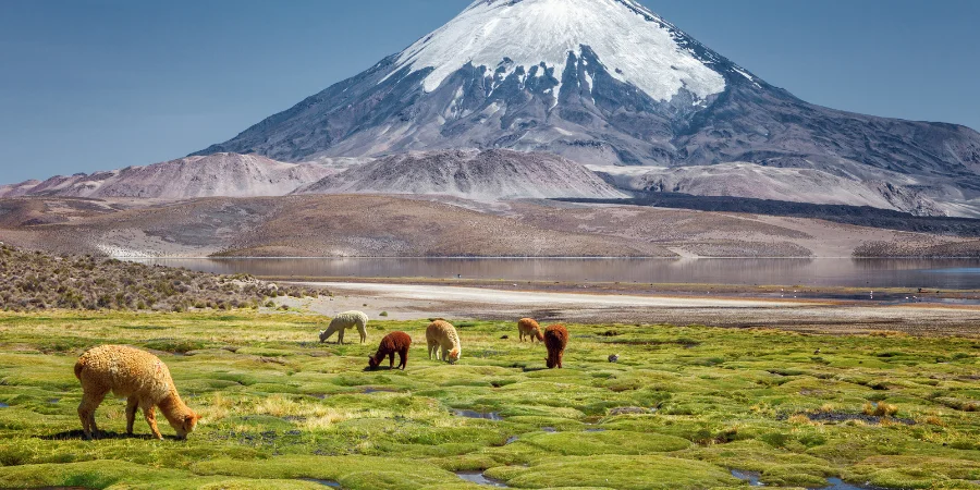  mejor época para ir a Chile