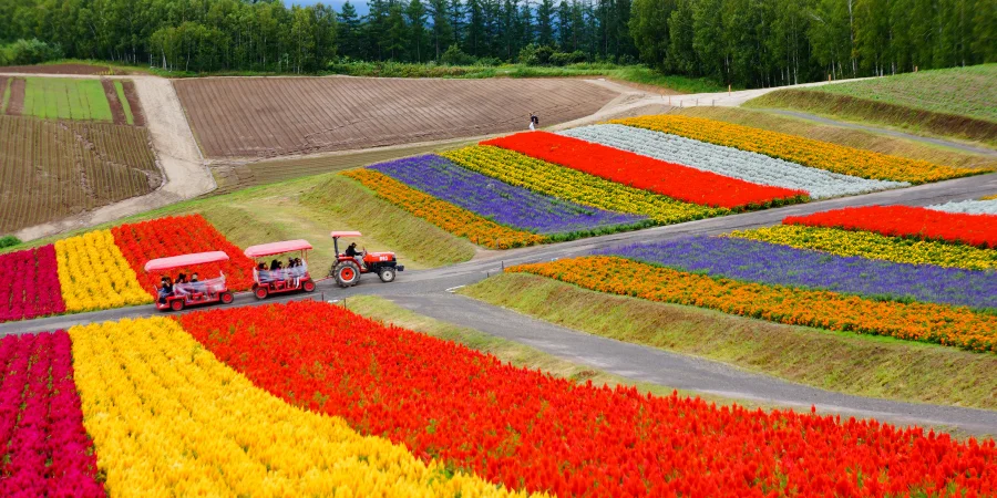 Viajar en Agosto a Japon