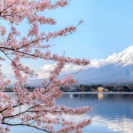 Mejor época para viajar a Japón: Clima, festivales y consejos