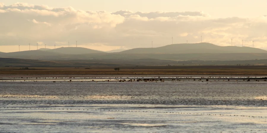Cuando ir a la laguna de gallocanta