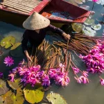 Mejor mes para viajar a Vietnam: Guía completa por regiones y clima