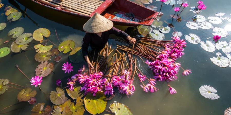 Mejor mes para viajar a Vietnam