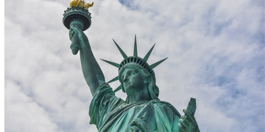Viajar a Nueva York en Enero