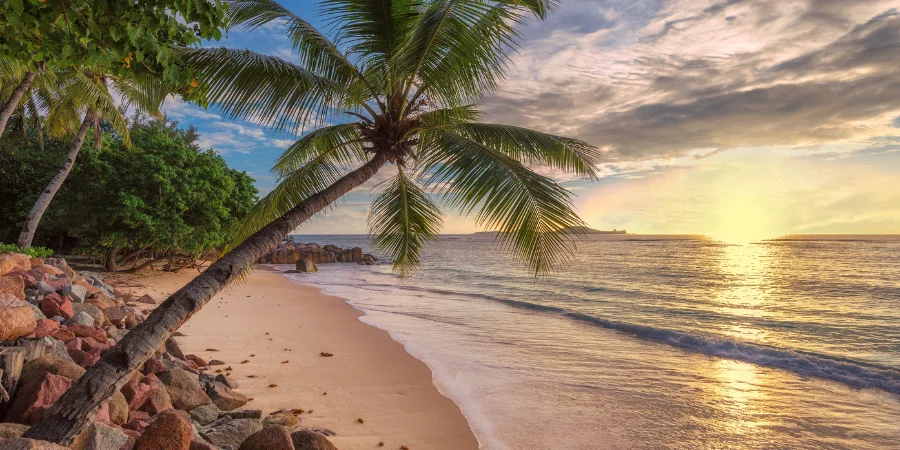 Cuando ir a jamaica